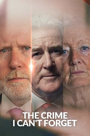 The Crime I Can't Forget-hd