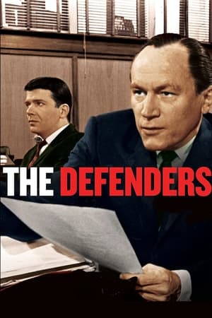 The Defenders The Defenders-hd