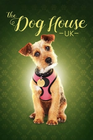 The Dog House-hd