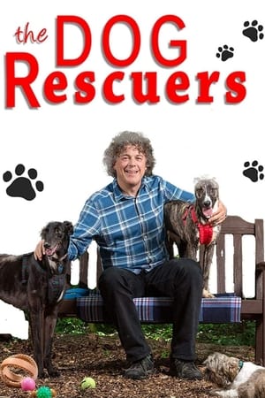 The Dog Rescuers with Alan Davies The Dog Rescuers with Alan Davies-hd
