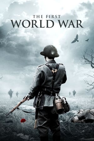 The First World War The First World War-hd