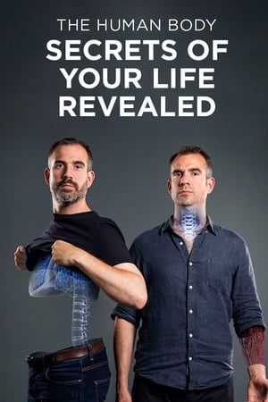 The Human Body: Secrets of Your Life Revealed-hd