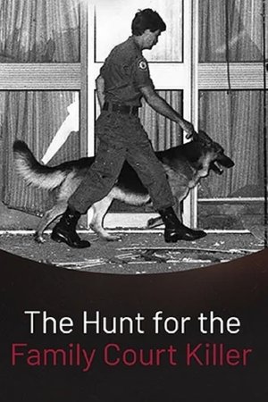 The Hunt for the Family Court Killer The Hunt for the Family Court Killer-hd