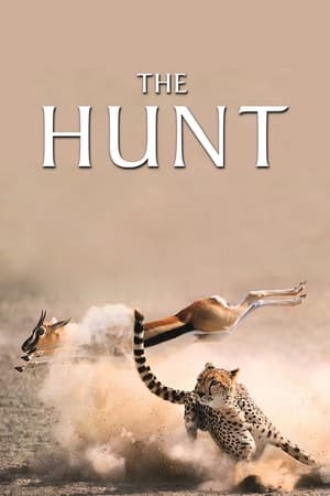 The Hunt The Hunt-hd