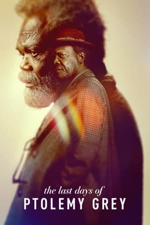 The Last Days of Ptolemy Grey The Last Days of Ptolemy Grey-hd
