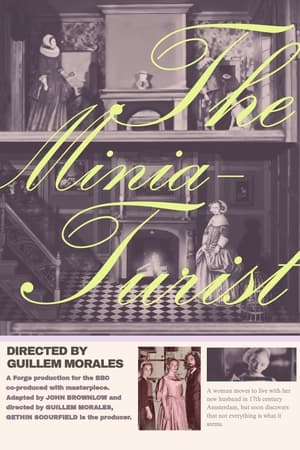 The Miniaturist The Miniaturist-hd