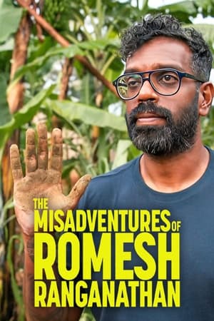 The Misadventures of Romesh Ranganathan The Misadventures of Romesh Ranganathan-hd