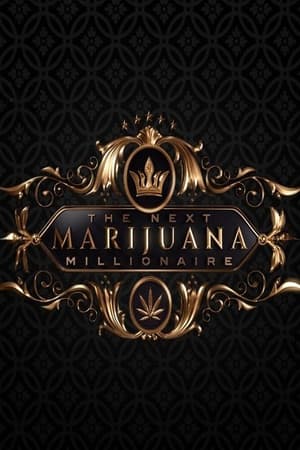 The Next Marijuana Millionaire The Next Marijuana Millionaire-hd