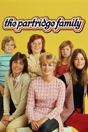 The Partridge Family-hd