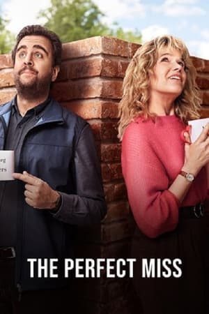 The Perfect Miss The Perfect Miss-hd