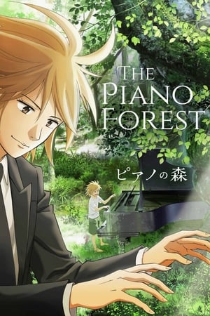 The Piano Forest The Piano Forest-hd