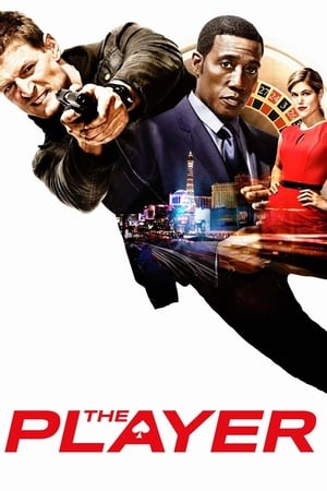 The Player The Player-hd