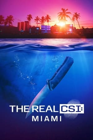 The Real CSI: Miami-hd