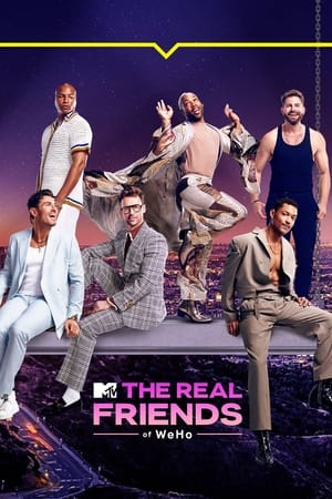 The Real Friends of WeHo The Real Friends of WeHo-hd
