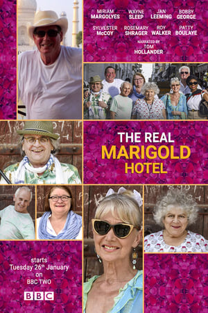 The Real Marigold Hotel The Real Marigold Hotel-hd