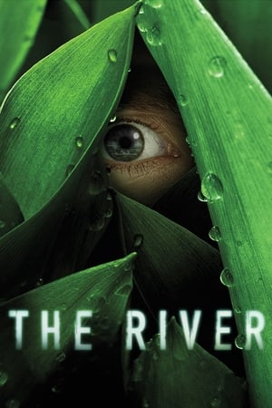 The River The River-hd