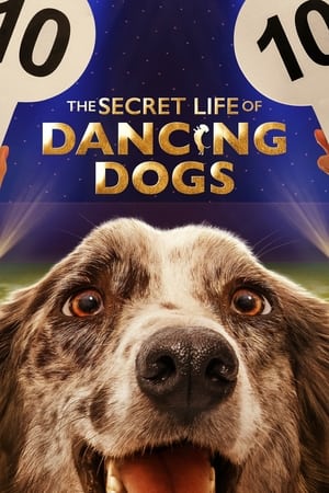 The Secret Life of Dancing Dogs The Secret Life of Dancing Dogs-hd