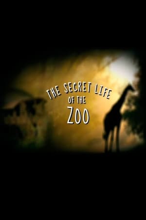 The Secret Life of the Zoo The Secret Life of the Zoo-hd