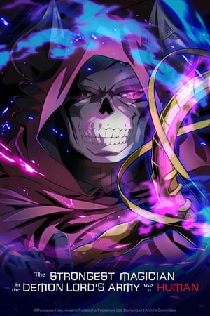 The Strongest Magician in the Demon Lord's Army Was a Human The Strongest Magician in the Demon Lord's Army Was a Human-hd