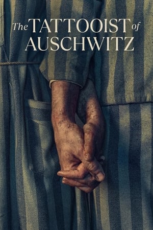 The Tattooist of Auschwitz The Tattooist of Auschwitz-hd