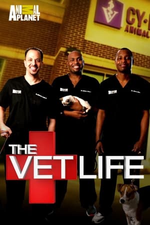 The Vet Life The Vet Life-hd