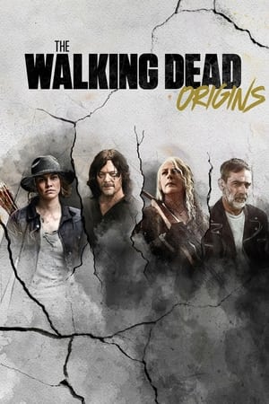 The Walking Dead: Origins The Walking Dead: Origins-hd