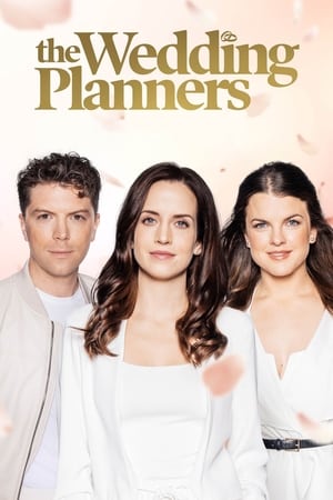The Wedding Planners-hd