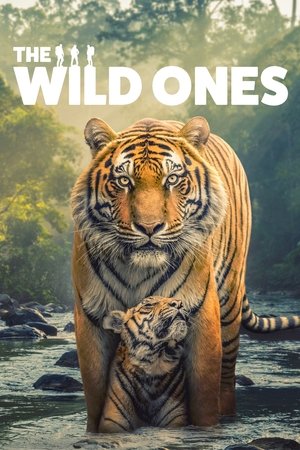The Wild Ones The Wild Ones-hd