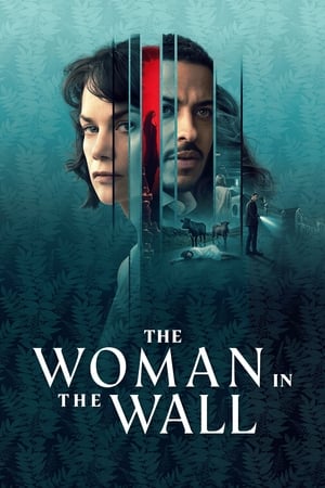 The Woman in the Wall-hd