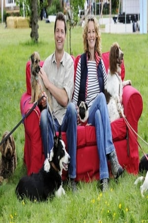 The Wonder of Dogs The Wonder of Dogs-hd