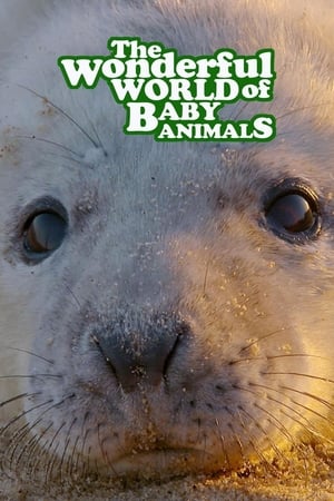 The Wonderful World of Baby Animals-hd