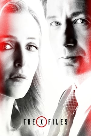 The X-Files The X-Files-hd