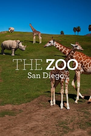The Zoo: San Diego The Zoo: San Diego-hd