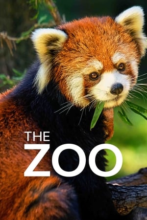 The Zoo-hd