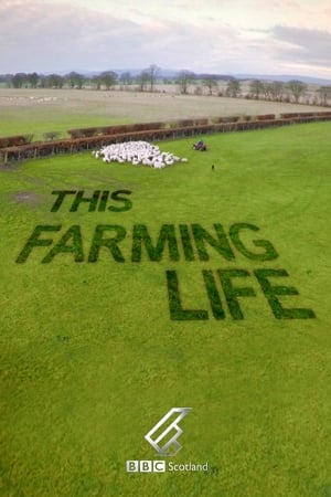 This Farming Life This Farming Life-hd