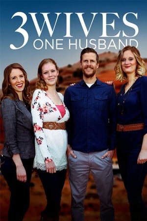 Three Wives, One Husband Three Wives, One Husband-hd