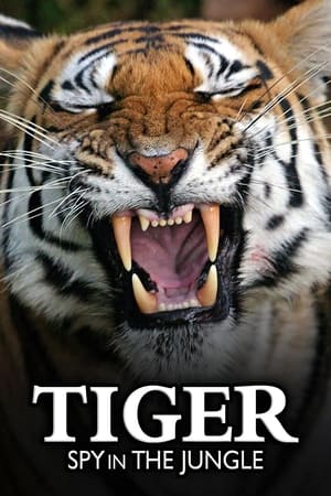 Tiger: Spy In The Jungle Tiger: Spy In The Jungle-hd
