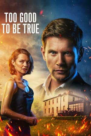 Too Good to Be True Too Good to Be True-hd