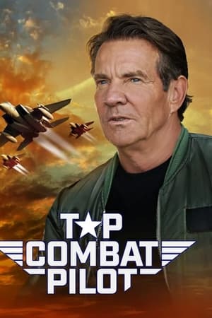 Top Combat Pilot Top Combat Pilot-hd