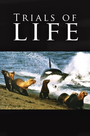 Trials of Life Trials of Life-hd