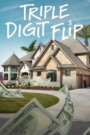 Triple Digit Flip Triple Digit Flip-hd