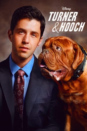 Turner & Hooch-hd