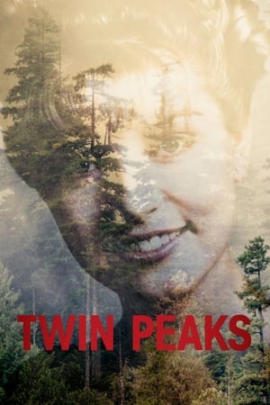 Twin Peaks Twin Peaks-hd