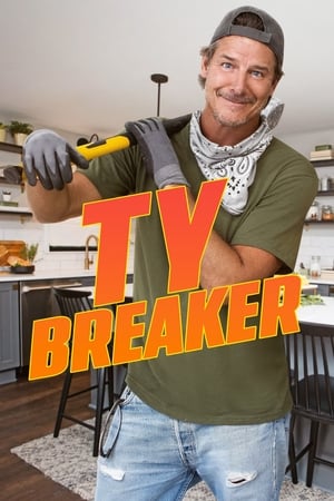 TY Breaker TY Breaker-hd