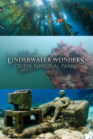 Underwater Wonders Of The National Parks-hd