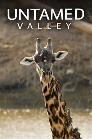Untamed Valley Untamed Valley-hd