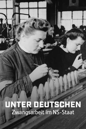 Unter Deutschen - Zwangsarbeit im NS-Staat-hd