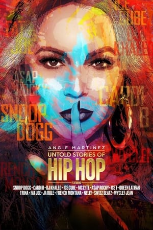 Untold Stories of Hip Hop-hd