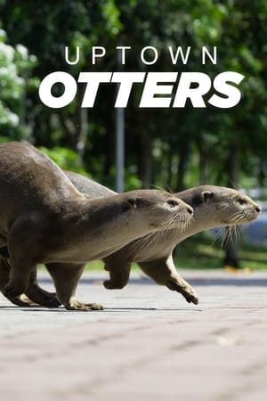 Uptown Otters Uptown Otters-hd