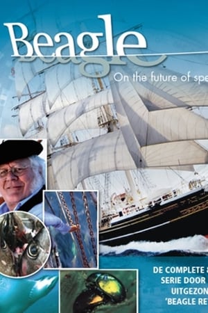 Voyage of Darwin’s Beagle Voyage of Darwin’s Beagle-hd